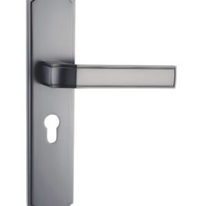 Integrated Door Handle